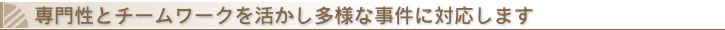 専門性とチームワークを活かし多様な事件に対応します